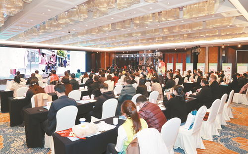 第六届江苏志愿服务展示交流会在泰举行 企业形象策划如何借力公益平台